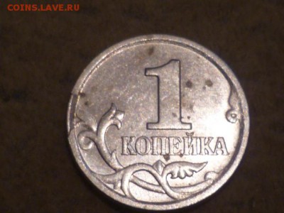 Браки на 1 коп не большие - P1110772.JPG