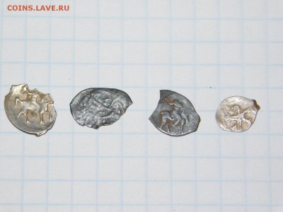 4 чешуйки. - DSCN2123.JPG