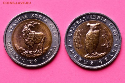 Набор Красная книга 1991. 2 монеты. Мешковой UNC 1.05 23-00 - DSC_0464.JPG