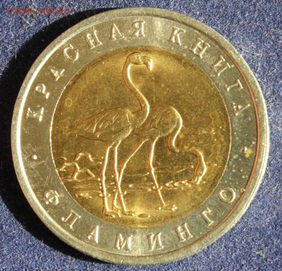 КРАСНАЯ КНИГА 50 РУБЛЕЙ 1994г. ФЛАМИНГО до 1.05. в 22-00 - IMG_6146.JPG