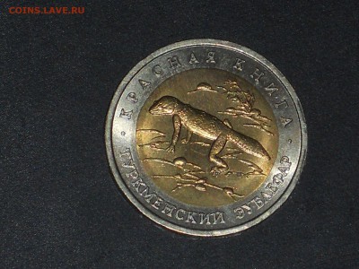 50 рублей 1993 ТУРКМЕНСКИЙ ЭУБЛЕФАР до 27.04.2017 22:00 МСК - DSCN6754.JPG