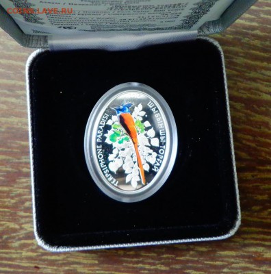 КАЗАХСТАН- РАЙСКАЯ МУХОЛОВКА цветная коробка до 2.05, 22.00 - Казахстан Райская мухоловка коробка_1