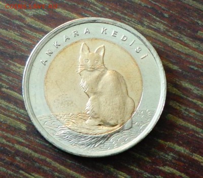 ТУРЦИЯ - КОШКА БИМ до 2.05, 22.00 - Турция 1 лира БИМ Котик_1