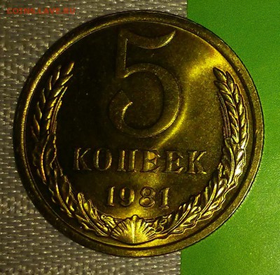 5 копеек 1981 БЛЕСК до 1.05.2017 в22-00м - 20170426_211851