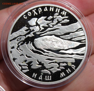 3 рубля 2008 года Речной бобр до 03.05.2017 22.10МСК - IMG_8366.JPG