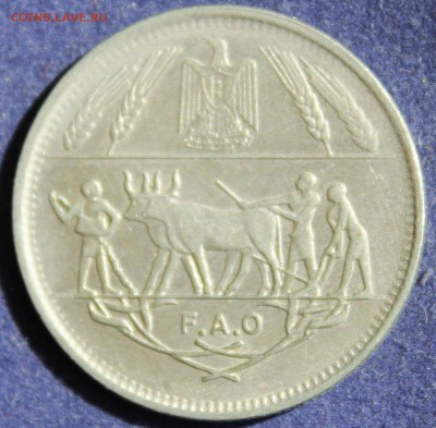 С 1 руб. F.A.O ЕГИПЕТ 10 пиастр 1970г. КРЕСТЬЯНЕ до 3.05. - IMG_5863.JPG