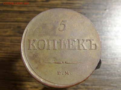 5 копеек 1835 чистка - DSC08892.JPG