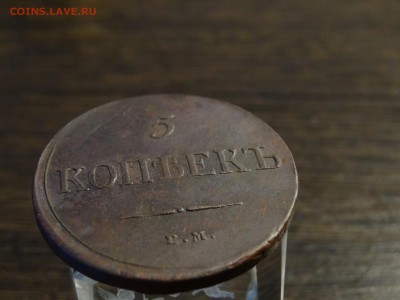 5 копеек 1835 чистка - DSC08907.JPG