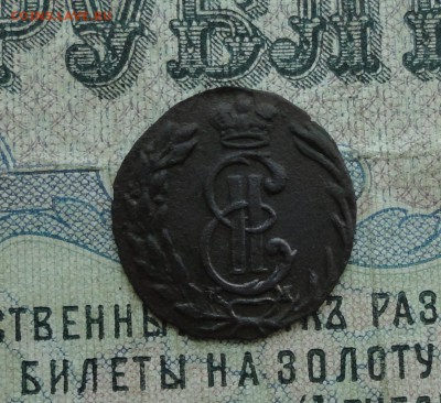 Полушка 1769 года Сибирь. До 1.05.17. - DSC06267.JPG