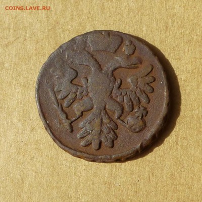 Денга 1738г, НИЗКИЙ старт, есть БЛИЦ, до 4.05.2017 - P1110959.JPG