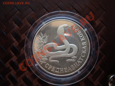 Один рубль 1994 года серебро среднеазиатская кобра - DSC02746.JPG