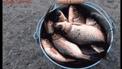 делает - прямо сейчас !!! - IMG_3856.PNG