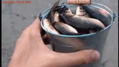 делает - прямо сейчас !!! - IMG_3857.PNG