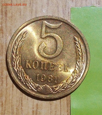 5 копеек 1981 БЛЕСК до 1.05.2017 в22-00м - DSCN0004 [1024x768]