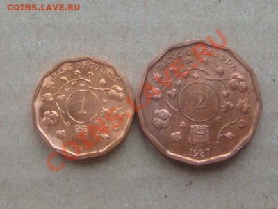 -v- Уганда 1 и 2 шиллинга 1987г. до 14.02(21.00) - DSC00686.JPG