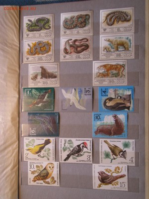 4 альбома СССР + немного РФ оценка - IMG_2697.JPG