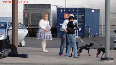 ФОТО - просто фото. Те что получились удачными. - в аэропорте.JPG