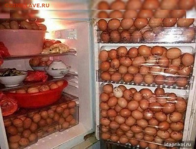 делает - прямо сейчас !!! - IMG_3876.JPG