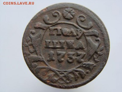 Полушка 1737 год. Гладкий гурт. РЕЖЕ до 03.05.2017 г. - 0614.JPG