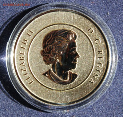 С 1 РУБ. КАНАДА 20 долларов 2012г. ПОЛЯРНЫЙ МЕДВЕДЬ до 6.5 - IMG_6304.JPG