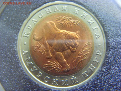 10 рублей 1992 Амурский тигр (капсула) до 06.05.17 - SDC14804.JPG