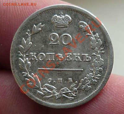 20 коп 1813  спб-пс до 14.02.21-00 - P1070466_thumb