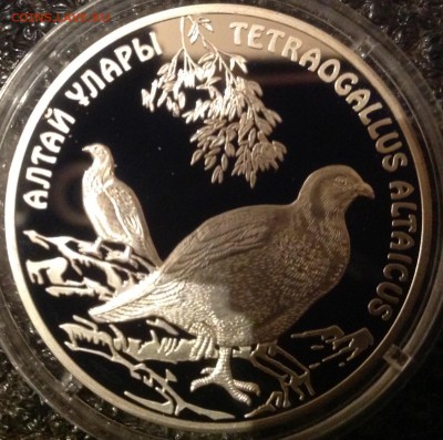 Алтайский улан 500 тенге 2006 г. 7.5 в 22.00 - IMG_8400.JPG