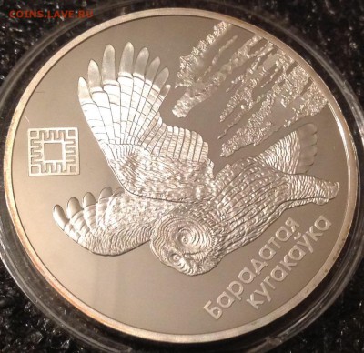 Сова Белорусь 20 рублей 2005 до 7.5 в 22.00 с 500 - IMG_8405.JPG