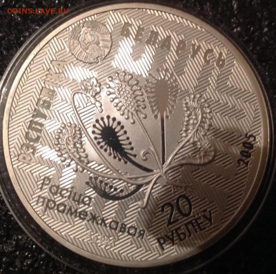 Сова Белорусь 20 рублей 2005 до 7.5 в 22.00 с 500 - IMG_8403.JPG