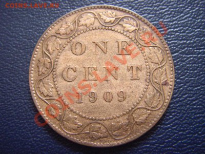 Канада 1 цент 1909 Эдуард VII до 16.02 в 21.00М - LPIC6417.JPG