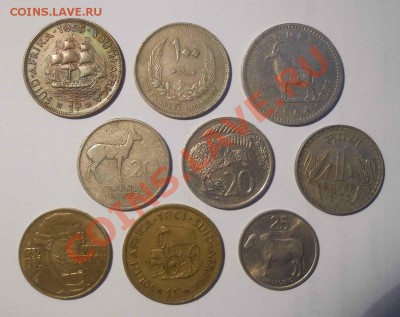 Продам лоты монет - DSCN2621