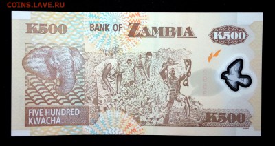 Замбия 500 квача 2009 (пластик) unc до 08.05.17. 22:00 мск - 1