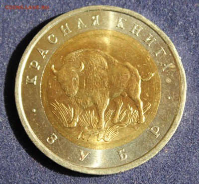 КРАСНАЯ КНИГА 50 РУБЛЕЙ 1994г. ЗУБР до 8.05 в 22-00 - IMG_6244.JPG