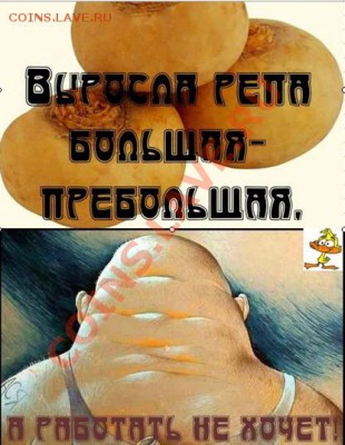 ПРАВИЛЬНЫЙ УХОД ЗА КУЛЬТУРОЙ - ДАЁТ СВОИ ПЛОДЫ - ScreenShot5