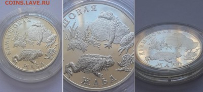 1 рубль 2004. Серия Красная книга. Камышовая жаба. Серебро. - 1р 2004 Жаба 4