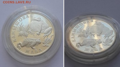 1 рубль 2004. Серия Красная книга. Камышовая жаба. Серебро. - 1р 2004 Жаба 3