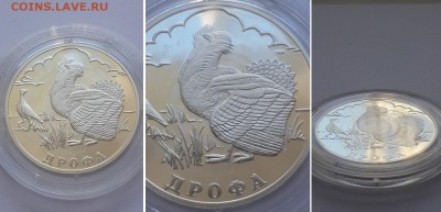 1 рубль 2004. Серия Красная книга. Дрофа. Серебро, пруф. - 1р 2004 Дрофа 4