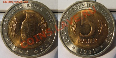 5р91 Филин Брак, смещение вставки до 15.02, 22.00 - Ф1