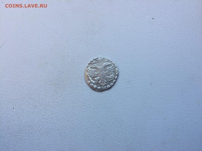 Алтын 1704   до 05.05.2017 22:00 МСК - IMG_1505.JPG