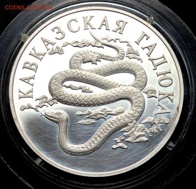 1 рубль 1999 года Кавказская гадюка до 05.05.2017 22-00 - P5030746.JPG