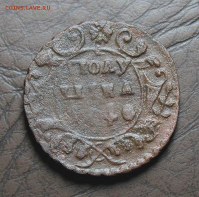 полушка 1740 (крылья с остями.)и денга 1740 до 6.05.17. - IMG_3533.JPG