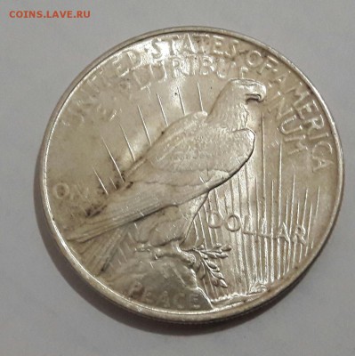 США 1 доллар 1922  (Мирный)  UNC до 08.05 22:00 - 20170504_211415