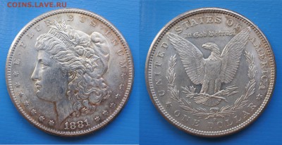 сша 1 доллар 1881г до 8.05. 22-00 мск - pOPyoty5Uoc