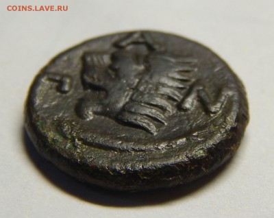 Тетрахалк Пантикопей, Спарток 3, 280 лет до н.э с 200 рублей - DSCN2543.JPG
