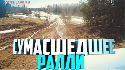 Сумасшедшее ралли! Быстрее! Быстрее все на коп! - вууууу
