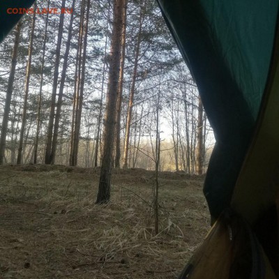 ФОТО - просто фото. Те что получились удачными. - IMG_20170504_140328_234