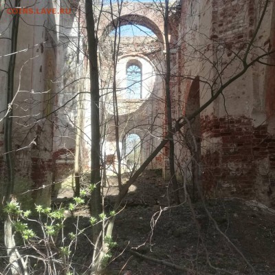 ФОТО - просто фото. Те что получились удачными. - IMG_20170503_192024_167