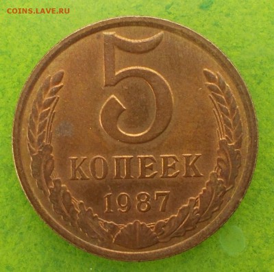 5 копеек 1987 года - DSCN0911.JPG