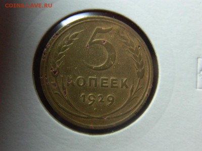 5 копеек 1929г до 10.05 в 22 20 по мск - DSCN9884[1].JPG