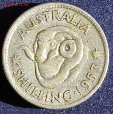 С 1 руб. АВСТРАЛИЯ  1 шиллинг 1953г. БАРАШЕК  до 13.05 - IMG_6355.JPG